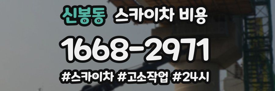 신봉동 스카이차 비용