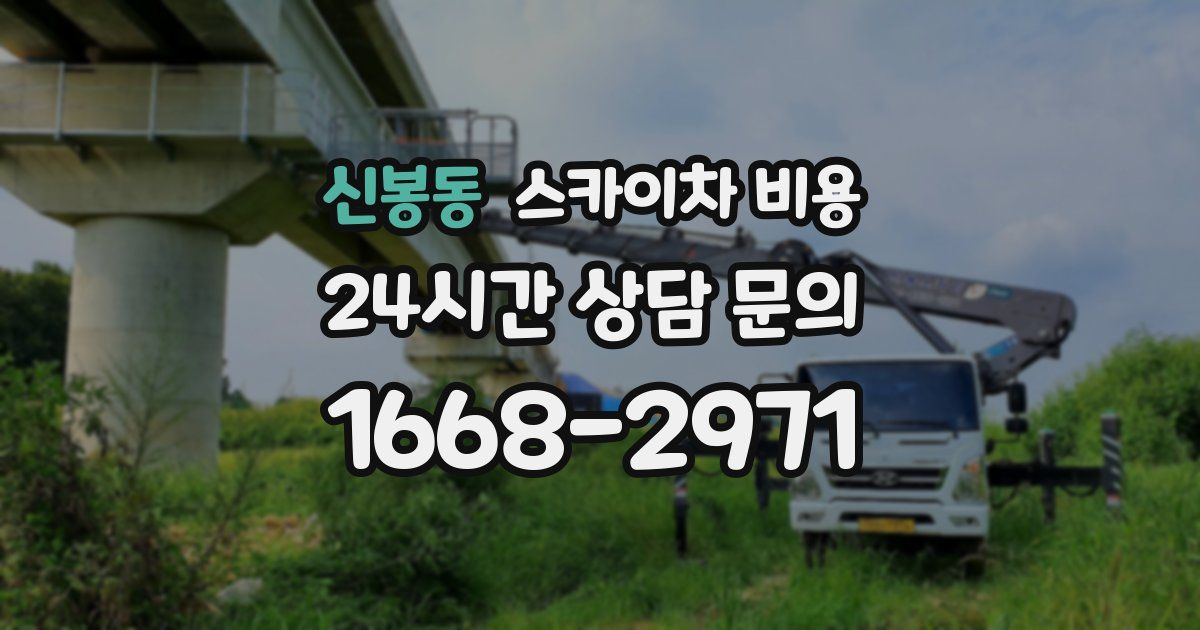 신봉동 스카이차 비용