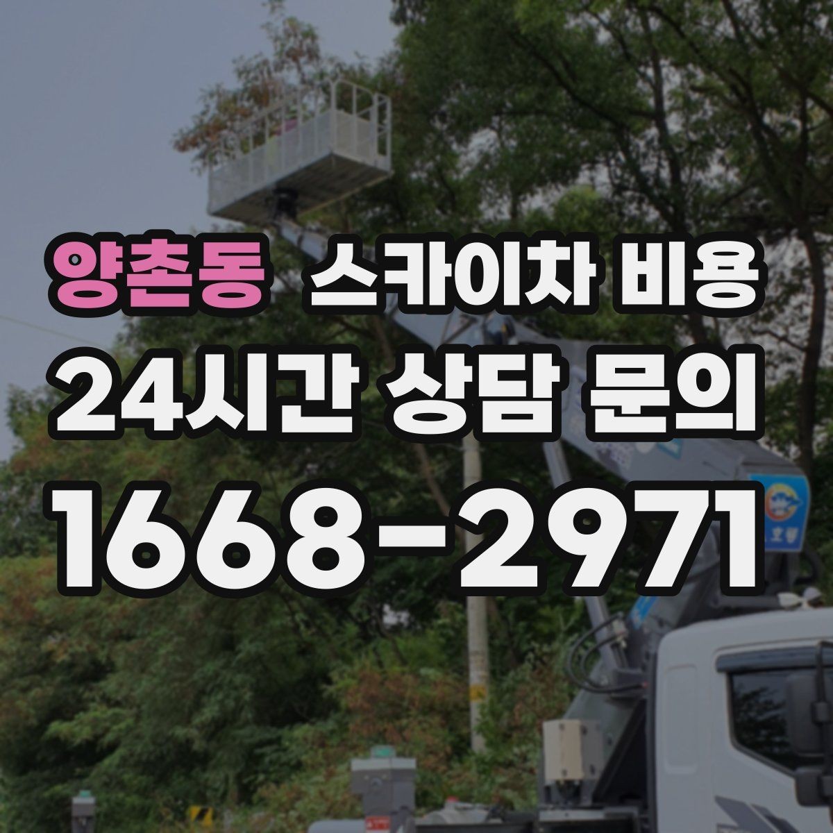 양촌동 스카이차 비용 야간 작업 시 조명 확보가 비용에 미치는 영향