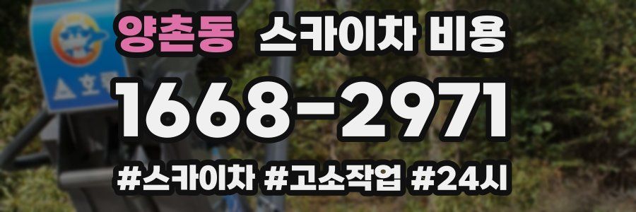 양촌동 스카이차 비용