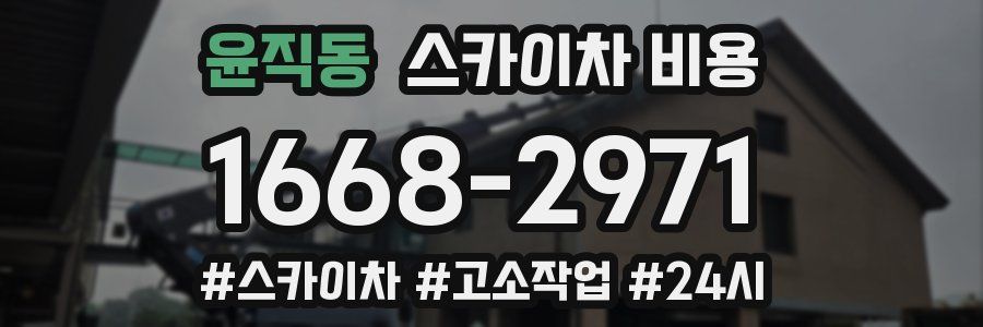 윤직동 스카이차 비용