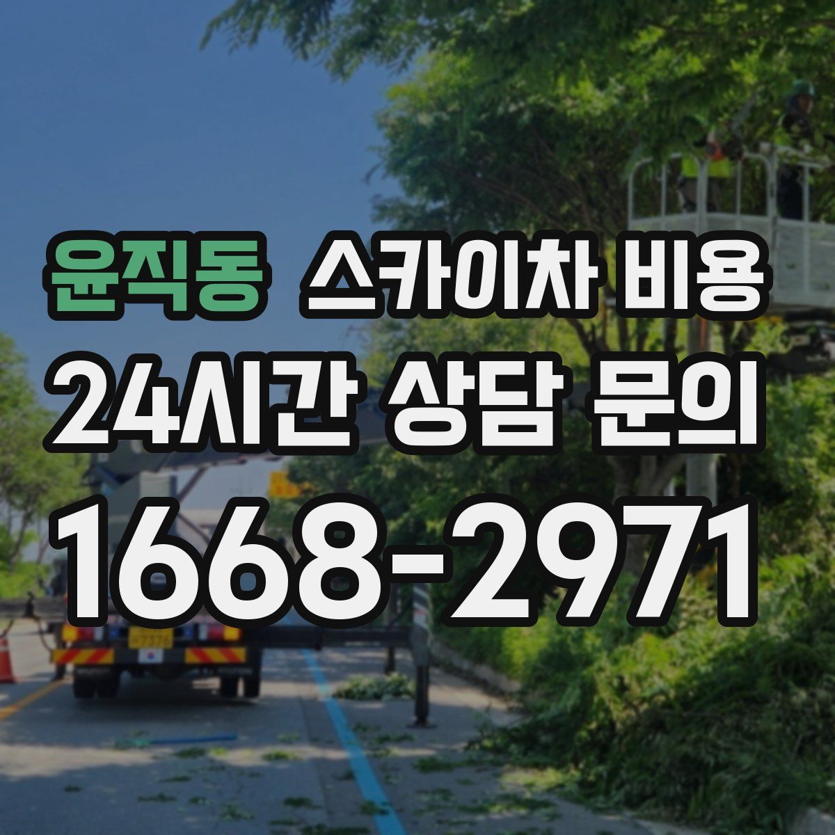 윤직동 스카이차 비용