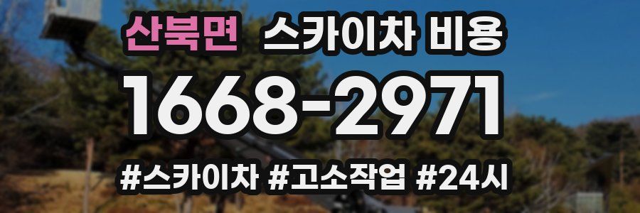산북면 스카이차 비용