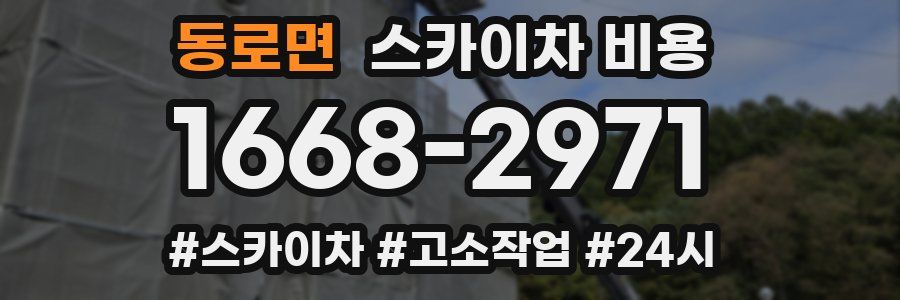 동로면 스카이차 비용