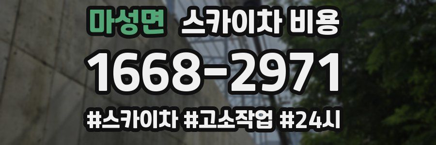 마성면 스카이차 비용