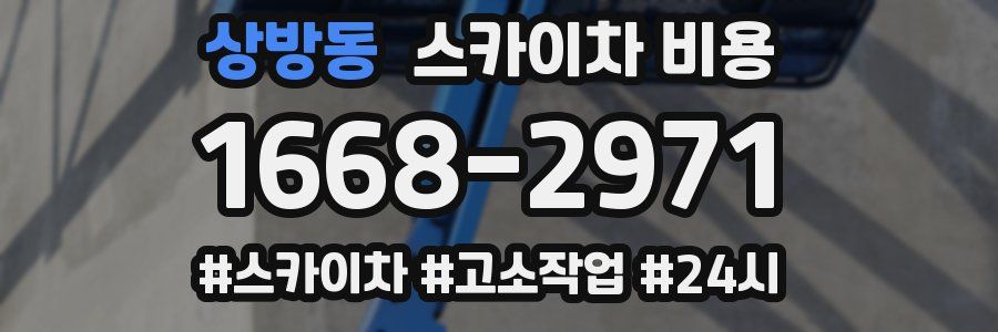 상방동 스카이차 비용