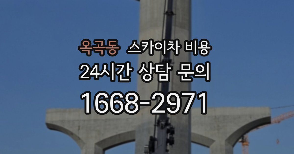 옥곡동 스카이차 비용