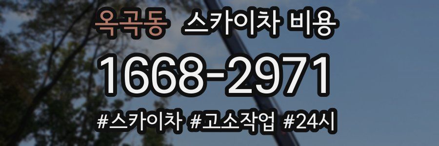 옥곡동 스카이차 비용