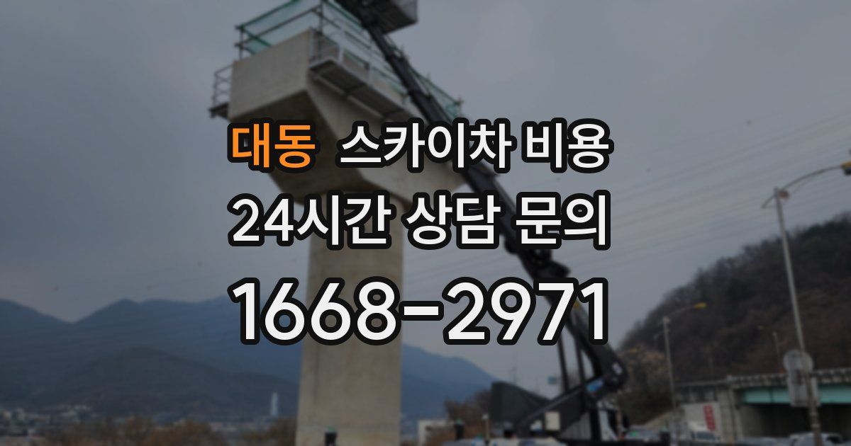 대동 스카이차 비용