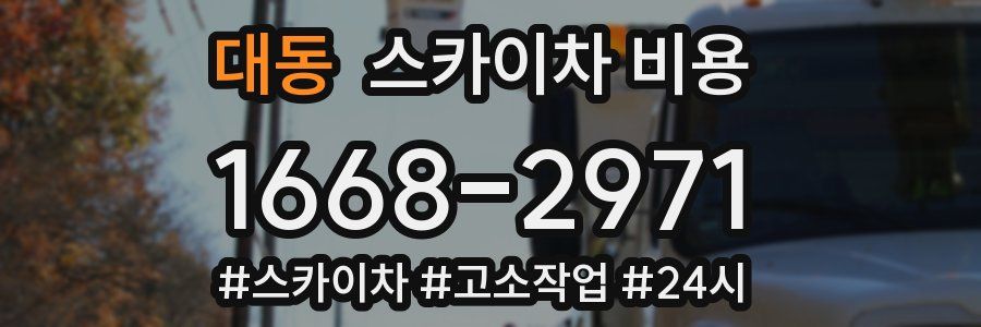 대동 스카이차 비용