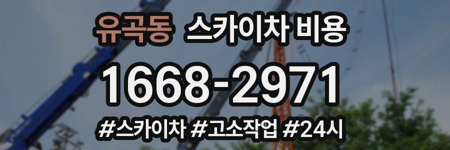유곡동 스카이차 비용