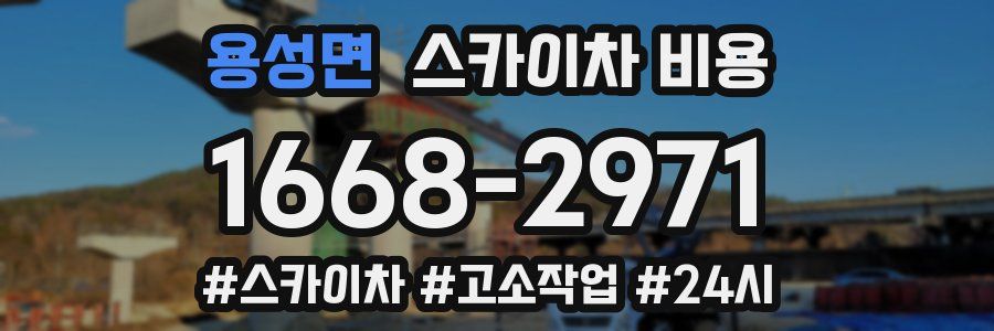 용성면 스카이차 비용