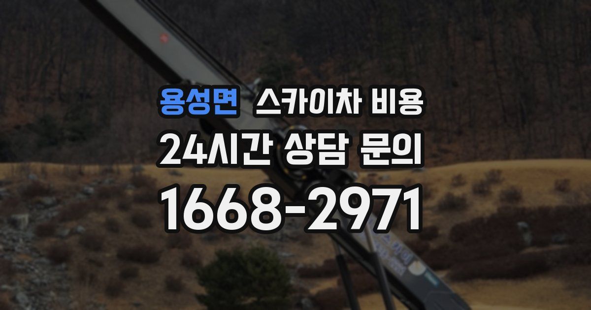 용성면 스카이차 비용