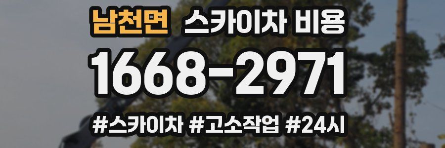 남천면 스카이차 비용