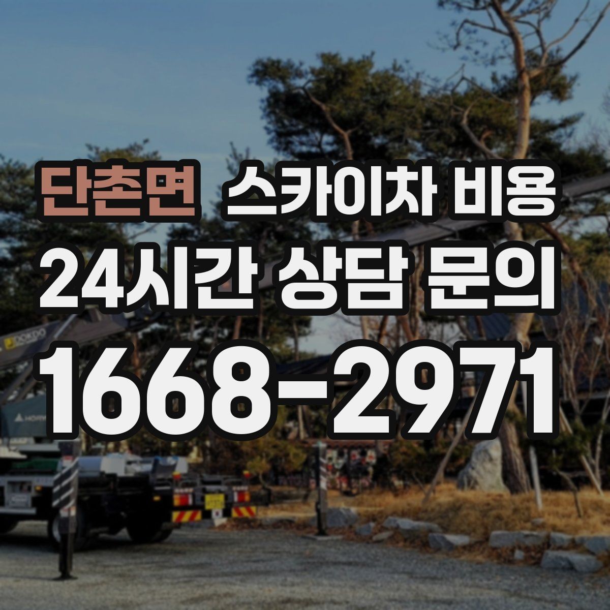 단촌면 스카이차 비용 나무 전지 작업은 가지 위치가 변수가 됩니다