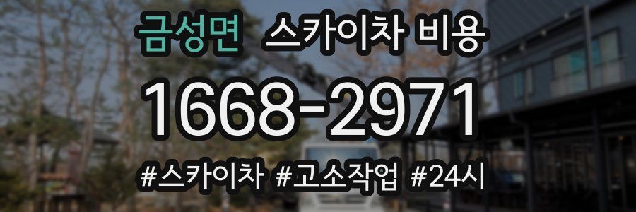 금성면 스카이차 비용