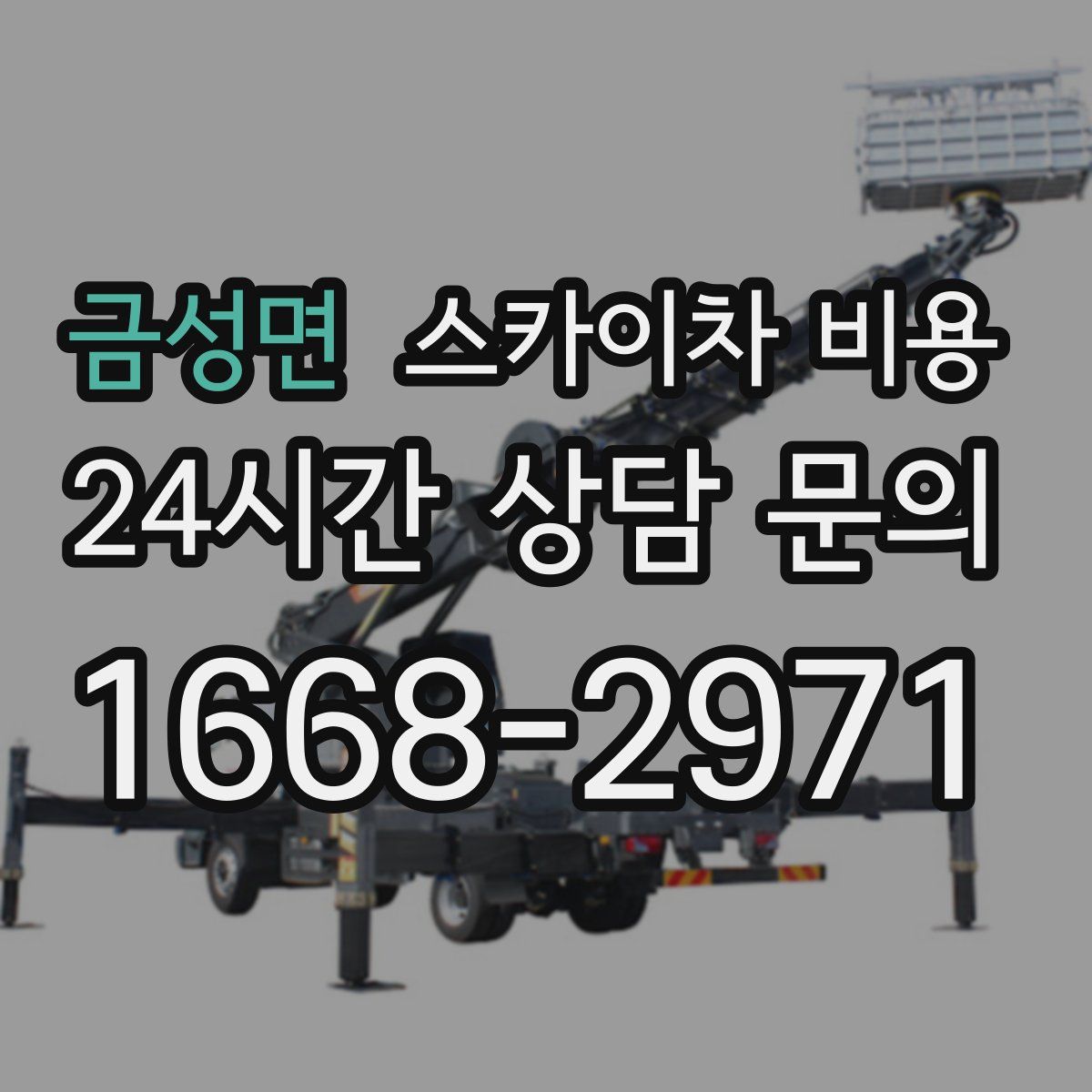 금성면 스카이차 비용