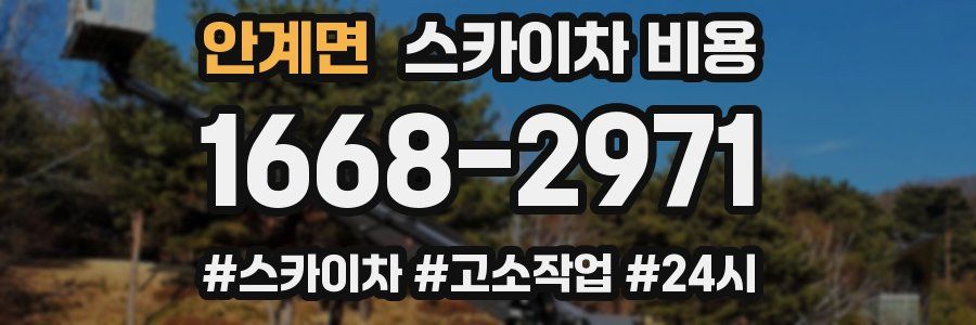 안계면 스카이차 비용