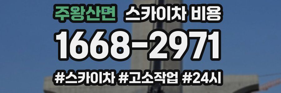 주왕산면 스카이차 비용