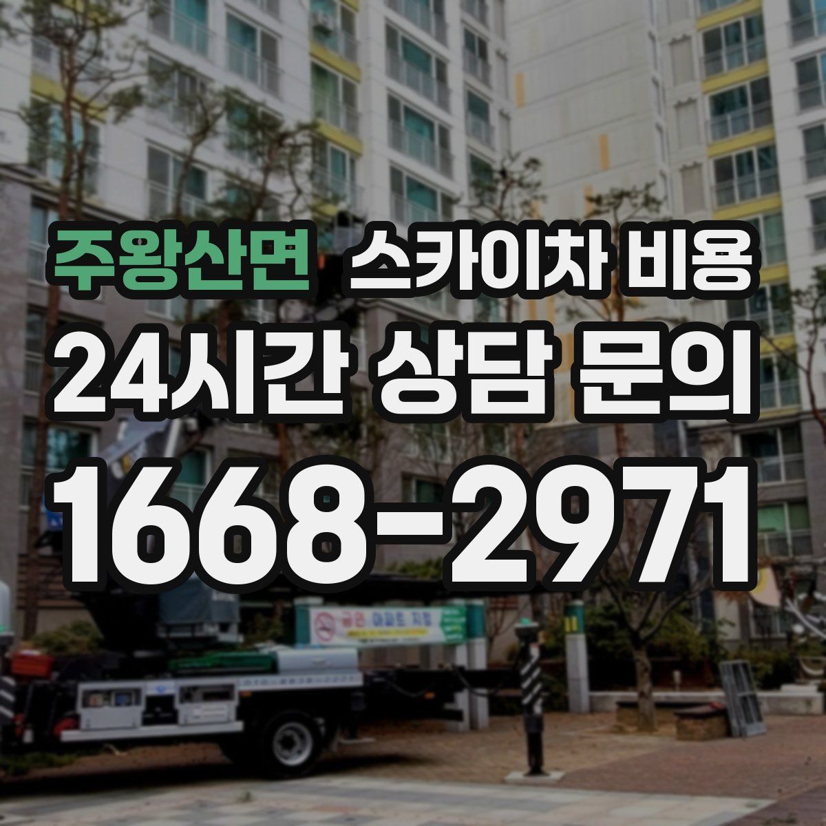 주왕산면 스카이차 비용