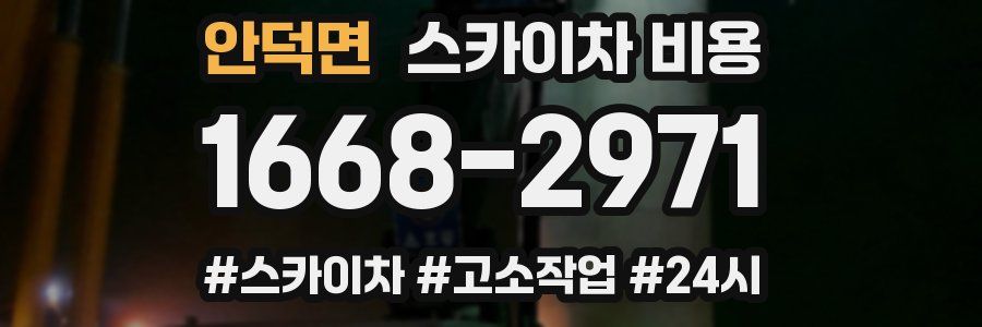 안덕면 스카이차 비용