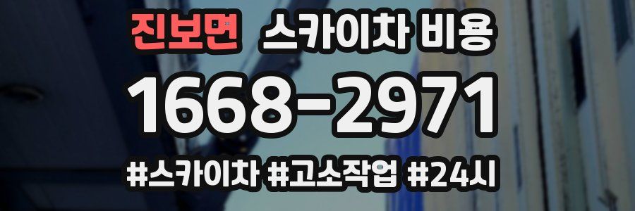 진보면 스카이차 비용