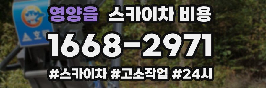 영양읍 스카이차 비용