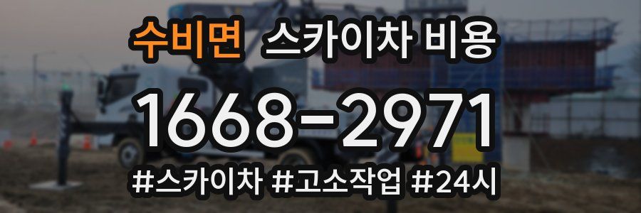 수비면 스카이차 비용