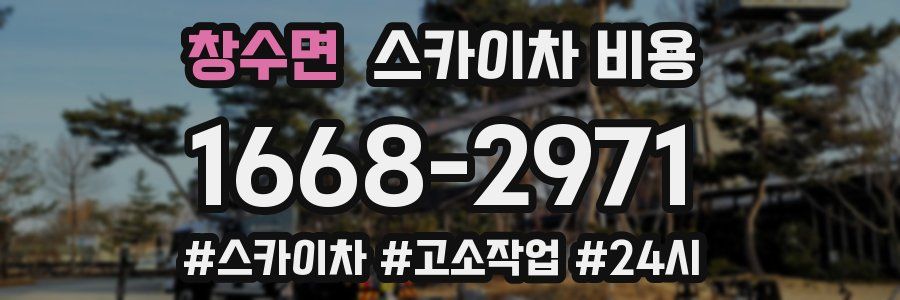 창수면 스카이차 비용