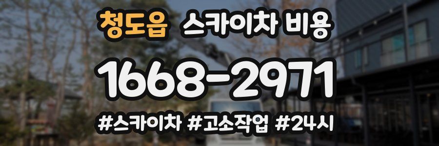 청도읍 스카이차 비용