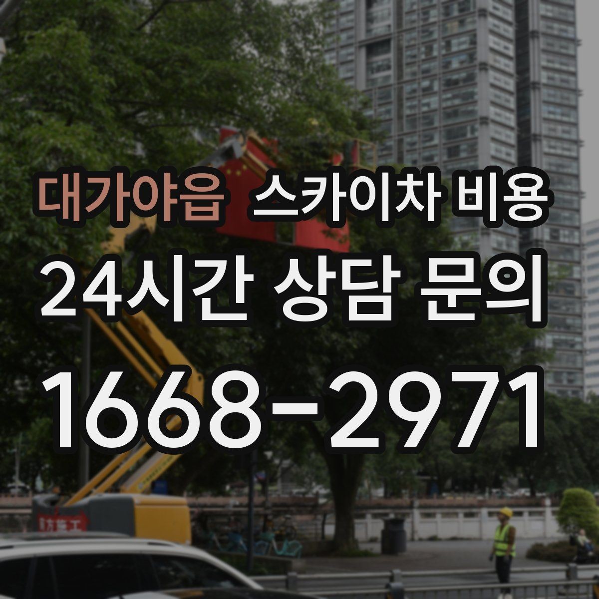 대가야읍 스카이차 비용 유도원 배치가 필요한 상황 정리