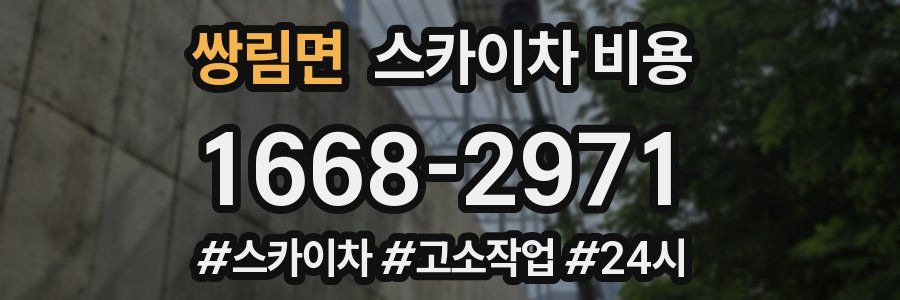 쌍림면 스카이차 비용