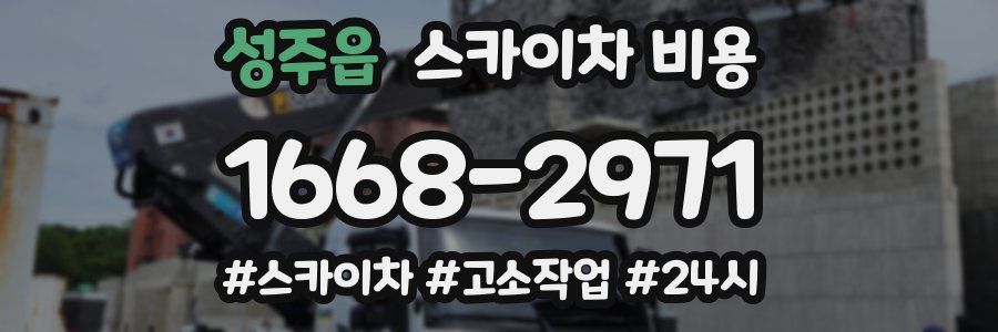성주읍 스카이차 비용