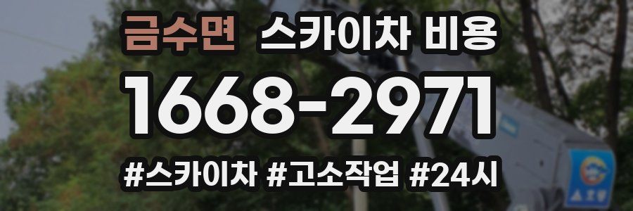 금수면 스카이차 비용