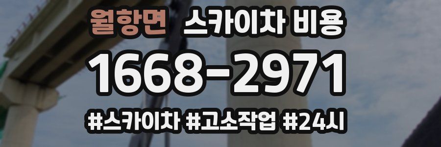 월항면 스카이차 비용