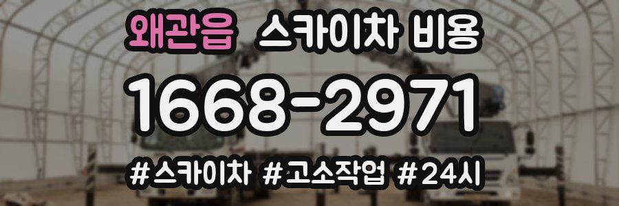 왜관읍 스카이차 비용