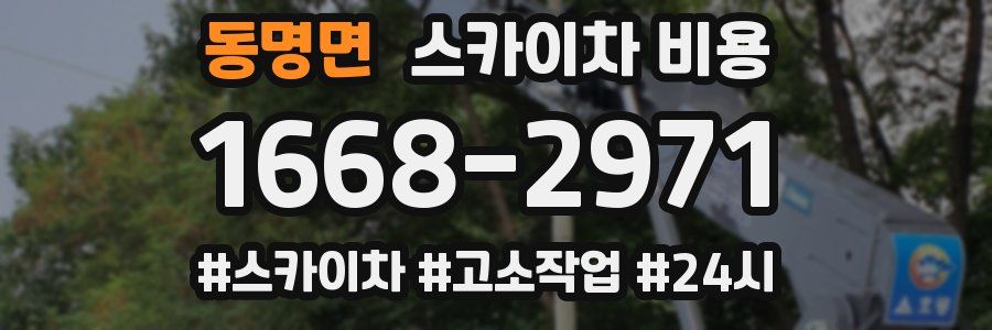 동명면 스카이차 비용