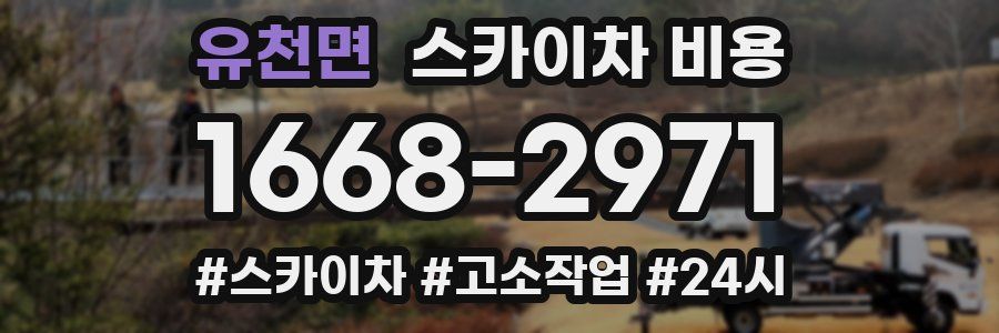 유천면 스카이차 비용