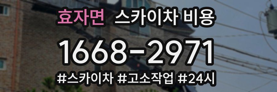 효자면 스카이차 비용