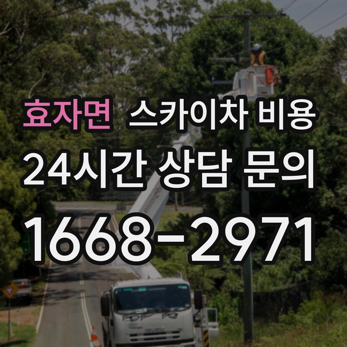 효자면 스카이차 비용