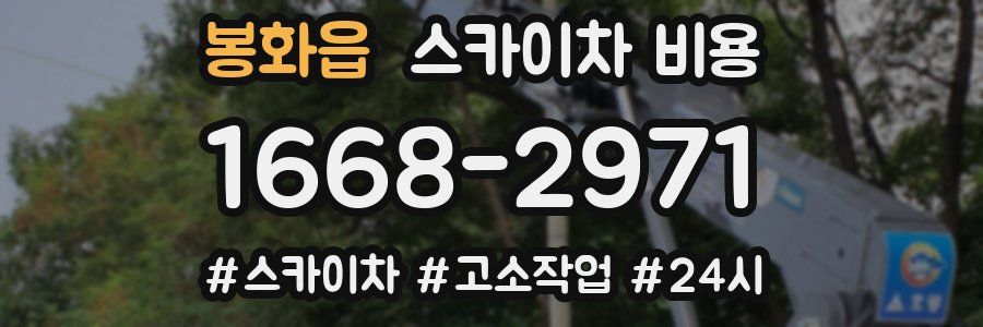 봉화읍 스카이차 비용