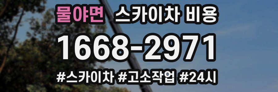 물야면 스카이차 비용