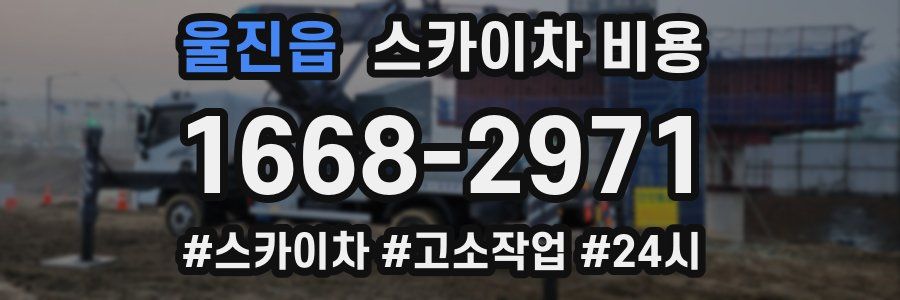 울진읍 스카이차 비용