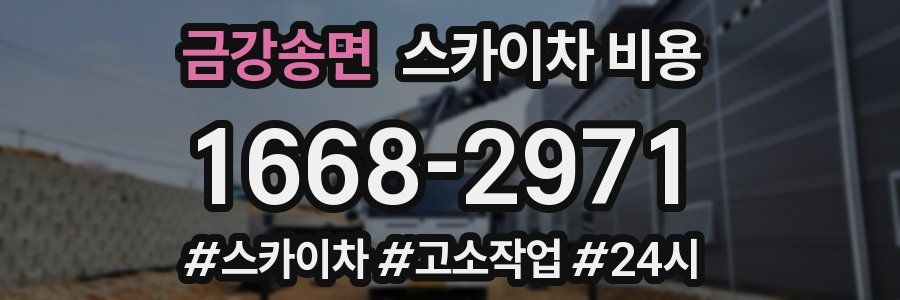 금강송면 스카이차 비용