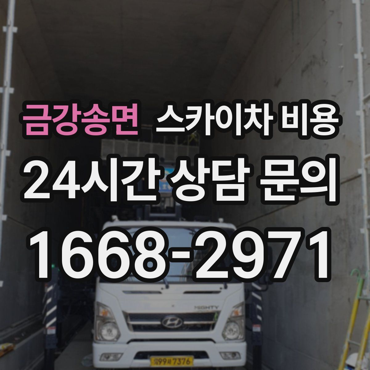 금강송면 스카이차 비용