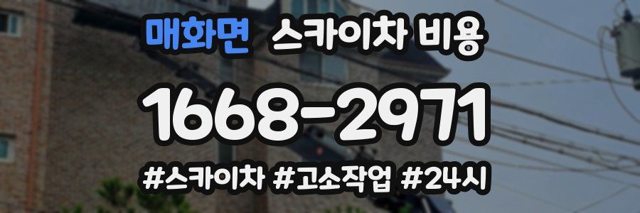 매화면 스카이차 비용