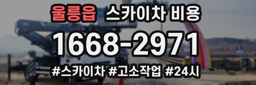 울릉읍 스카이차 비용