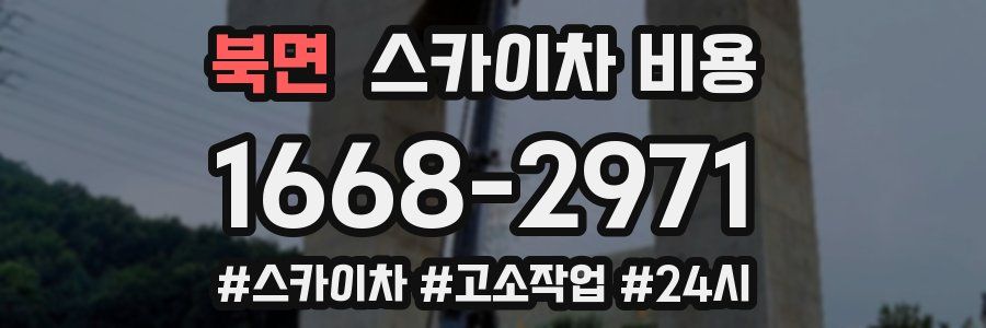 북면 스카이차 비용