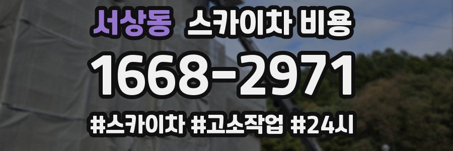 서상동 스카이차 비용