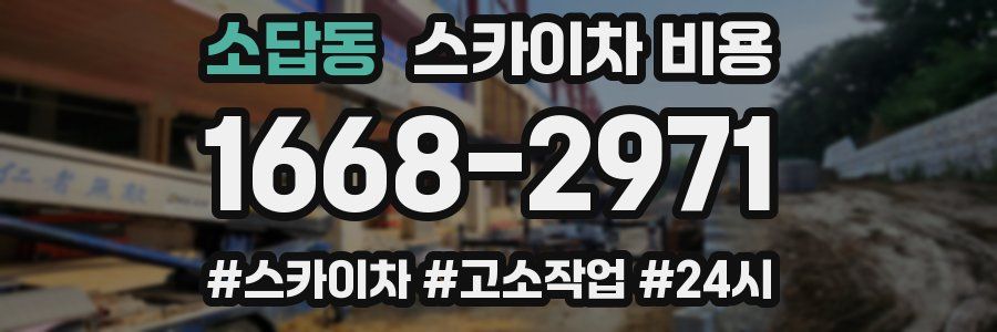 소답동 스카이차 비용
